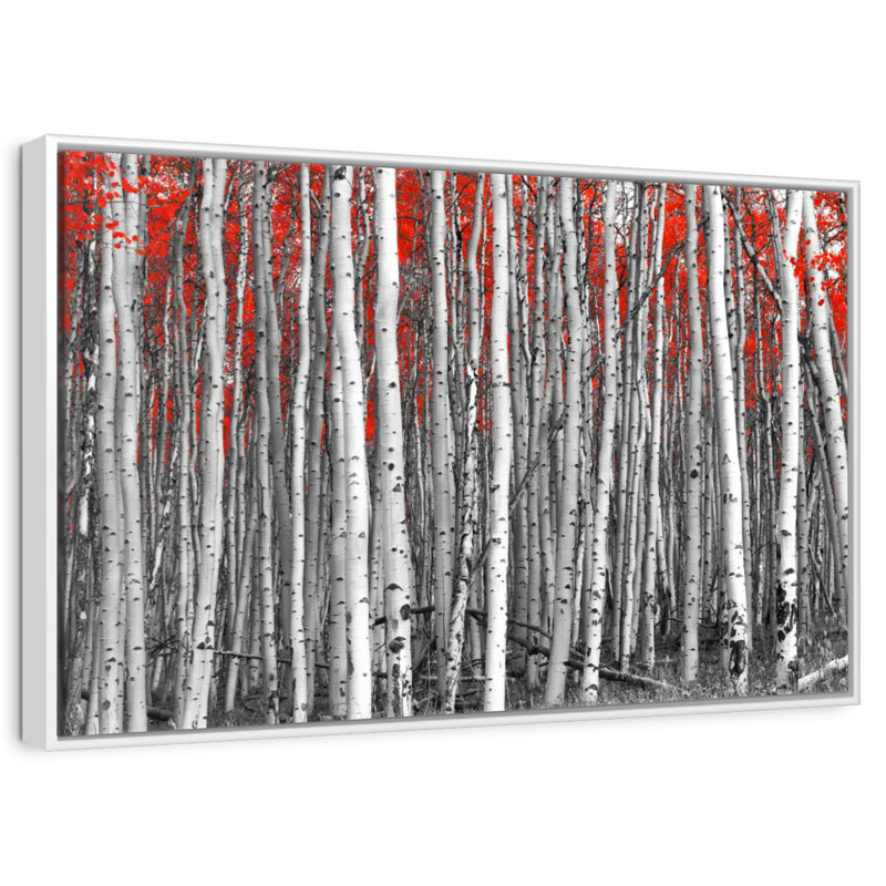 Forêt de bouleaux rouges, Cadre flottant blanc, 13 po x 9 po