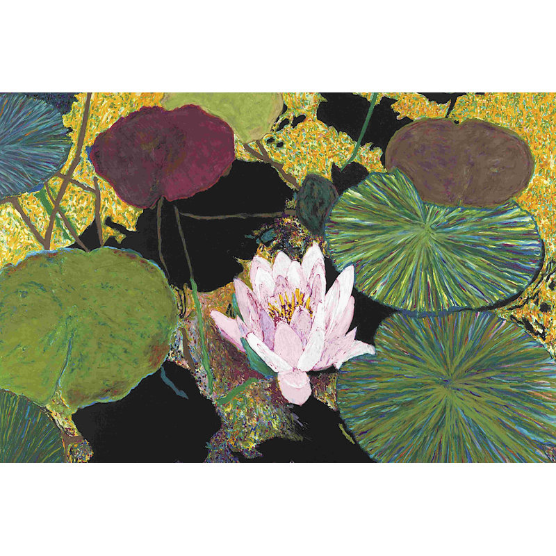 " Steamy Pond " by Allan Friedlander Painting Print, 8" H x 12" W  