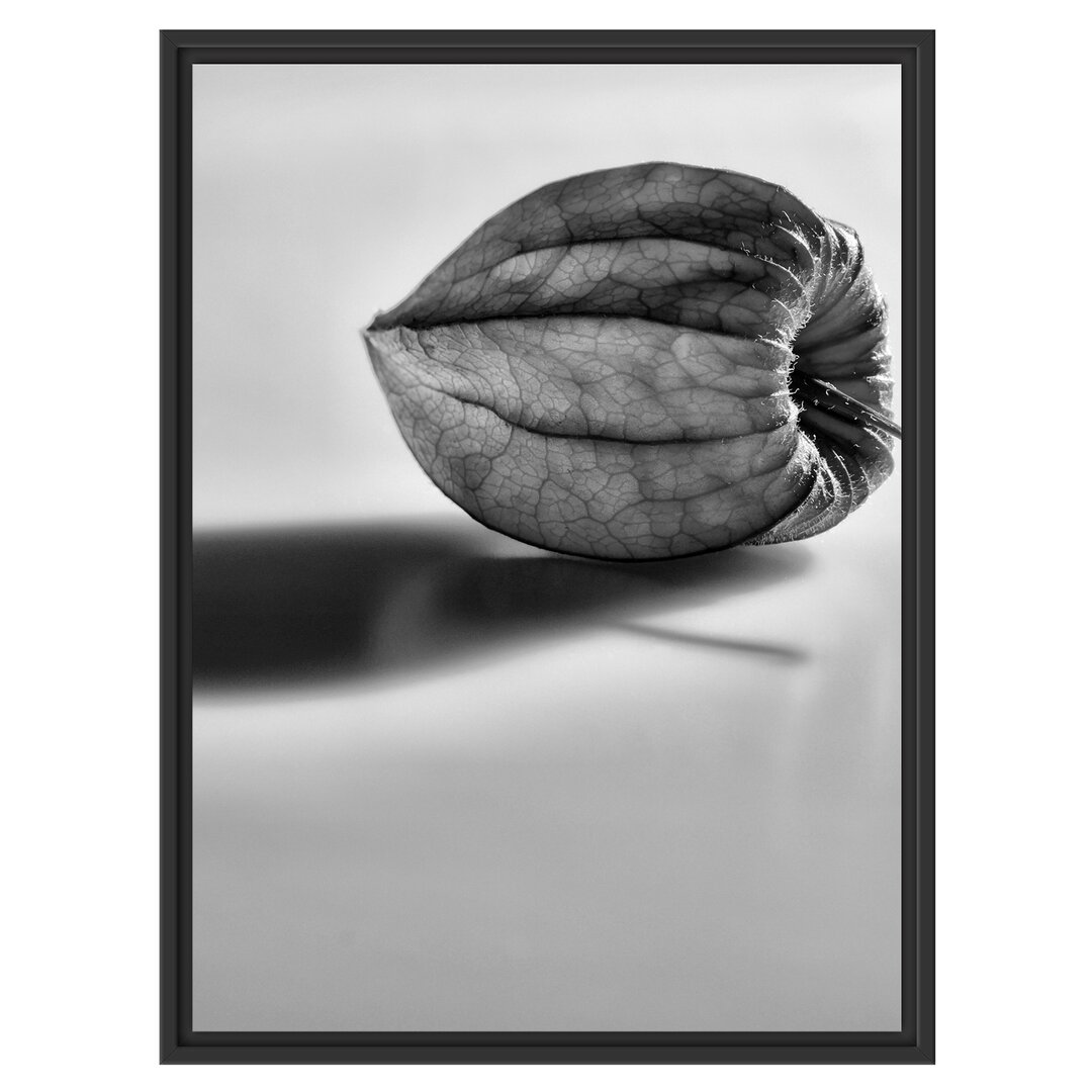 Gerahmtes Wandbild kleine Physalis