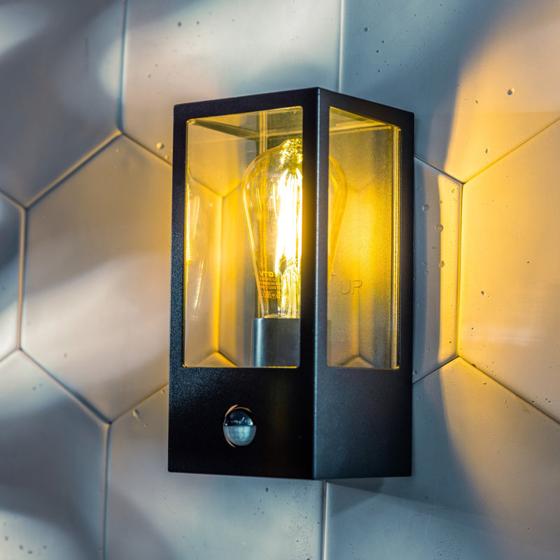 Aadya 22cm H Outdoor Wall Lantern