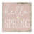 Rustic Hello Spring Canvas Wall Art by Daphne Polselli-196651871
