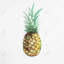 Aquarelle, reproduction d'ananas sur toile-987855535-987855533