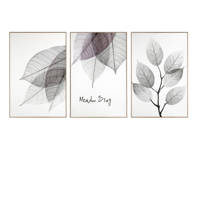 Botanical by Deborah Pearce - 3 Piece Single Picture Frame Print