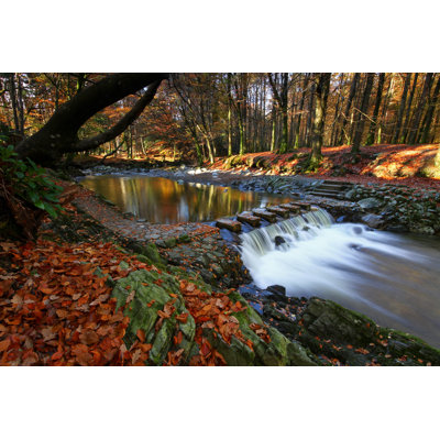 Delk Tollymore Forest Park 1 Piece Wrapped Canvas Wall Art