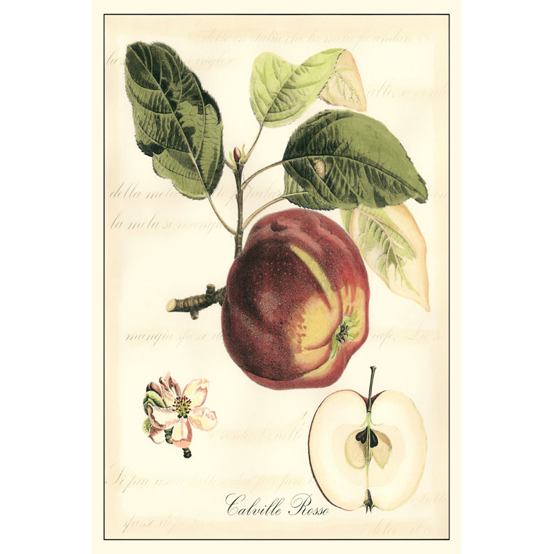 Tuscan Fruits I by Vision Studio - Wrapped Canvas Print, 30cm H x 20cm W x 3.8cm D