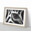 The Eye of a Zebra - Picture Frame Painting Print-56712321-56712318