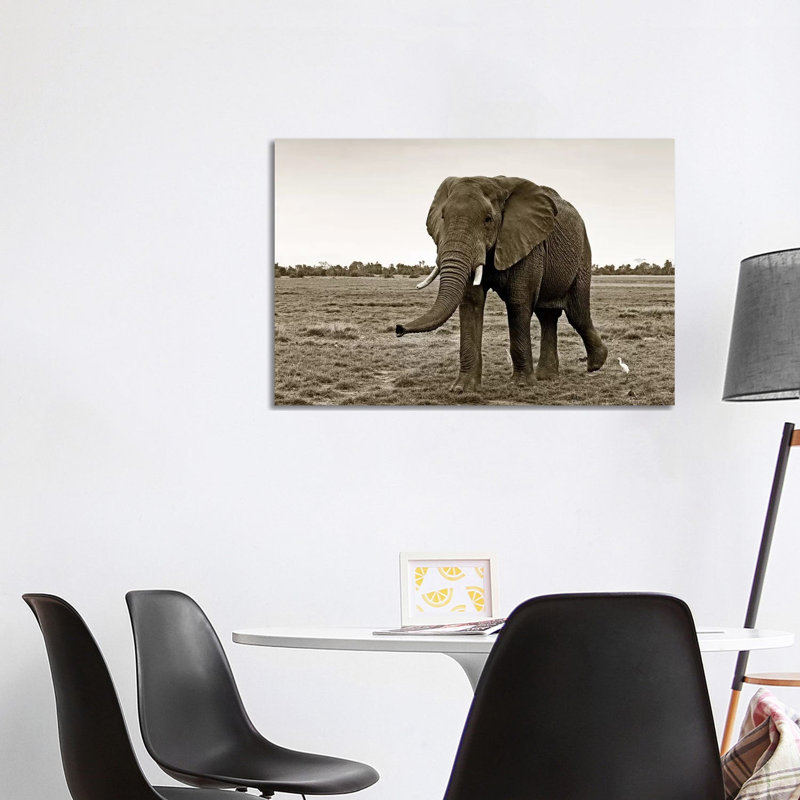 Curious Elephant 1 Piece Wrapped Canvas Wall Art, 101.6 cm H x 66.04 cm W x 3.175 cm D