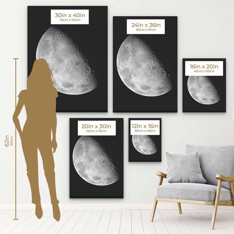 Flurije, lune gracieuse noire sur toile, H 16 po x l 12 po, Cadre noir