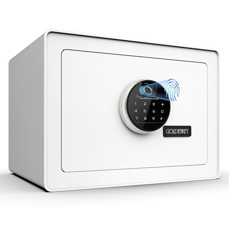 Coffre-fort de luxe pour bijoux avec empreinte digitale et verrouillage du clavier, coffre-fort pour documents avec doublure en velours doux, P 9,84 po x l 13,78 po x H 9,84 po, 1,0 pieds cubes, blanc