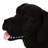 Mgo Dog Bench (Excluding The Table)-1861842670