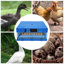 Incubateur d'oeufs de poulet 64 œillets