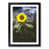 Black Framed selected