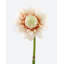 Faux 16,5 po Waratah Protea-2115729976-2115729983