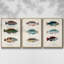 Antique Fish Trio I, ensemble de 3 toiles encadrées sur toile-97760253-97760254