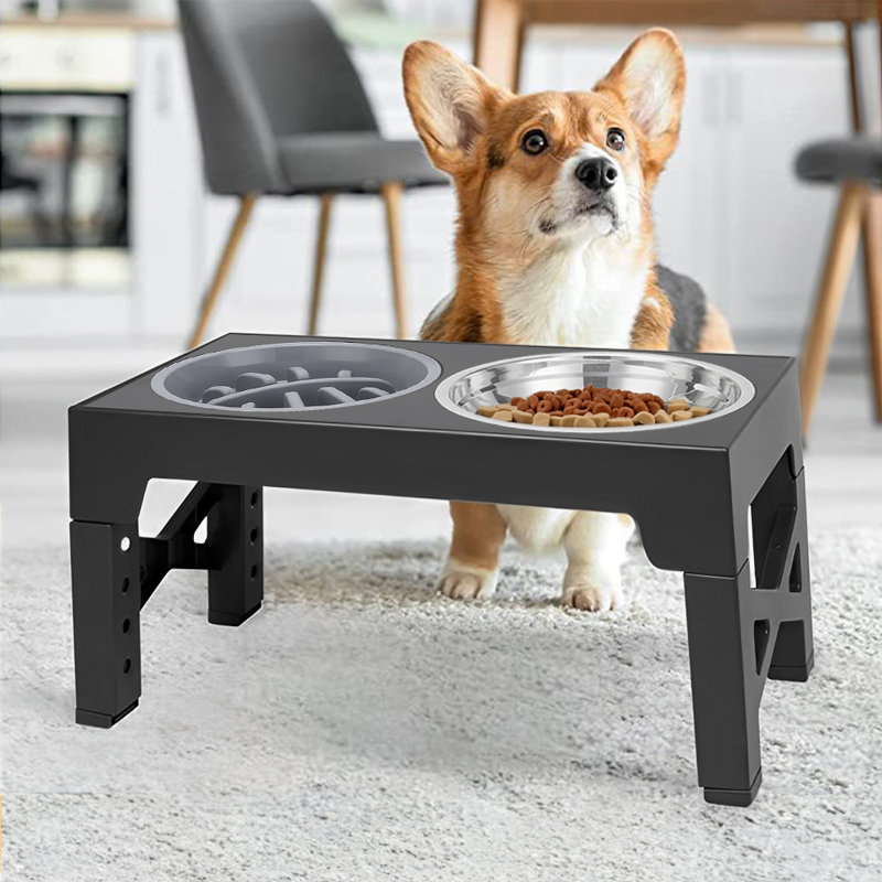 Pet Bowl