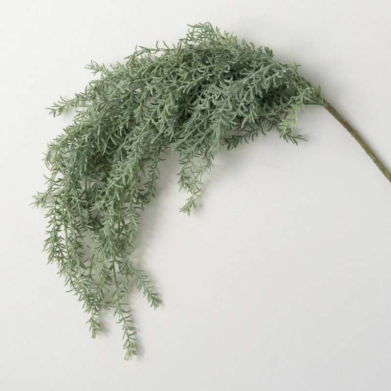 Herbe de romarin 40 po