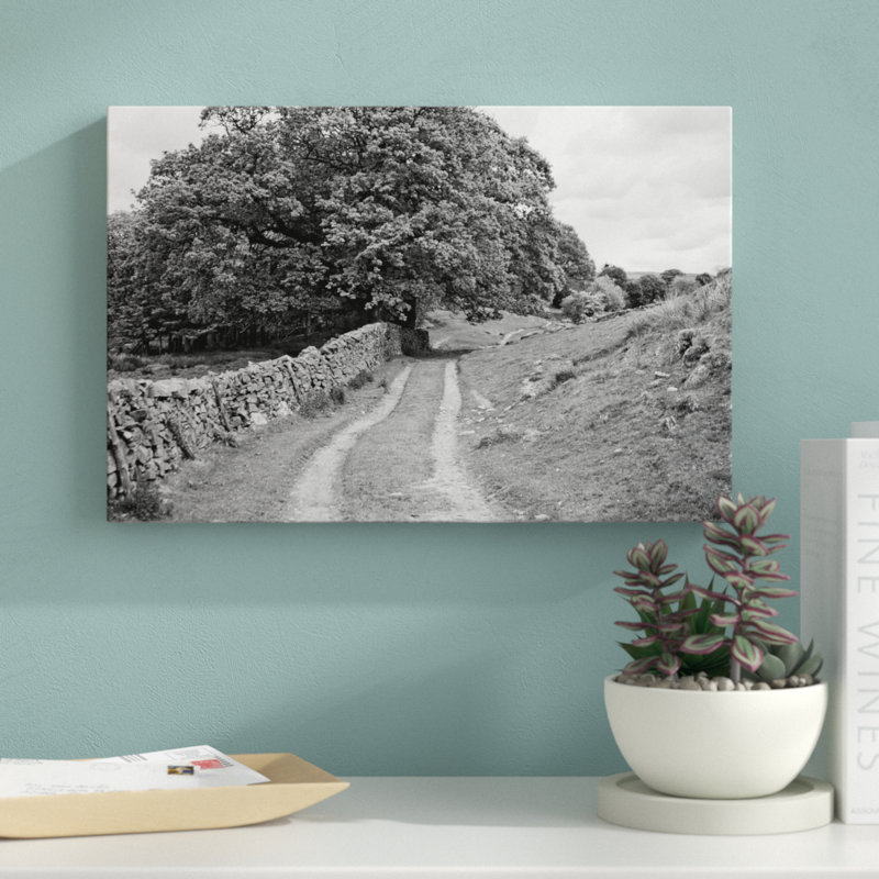 Wynlass Beck 1 Piece Wall Art on Canvas, 30cm H x 46cm W x 3.8cm D
