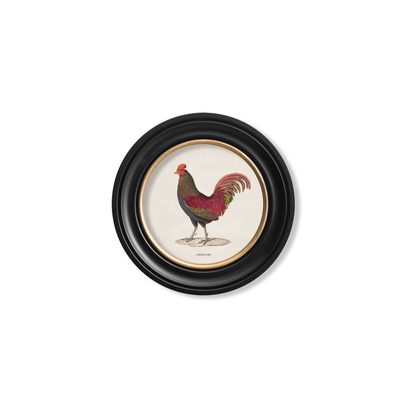 Junglefowl Left Facing by Mid-1800s - Single Picture Frame Print on Archival Matt 230gsm Paper
