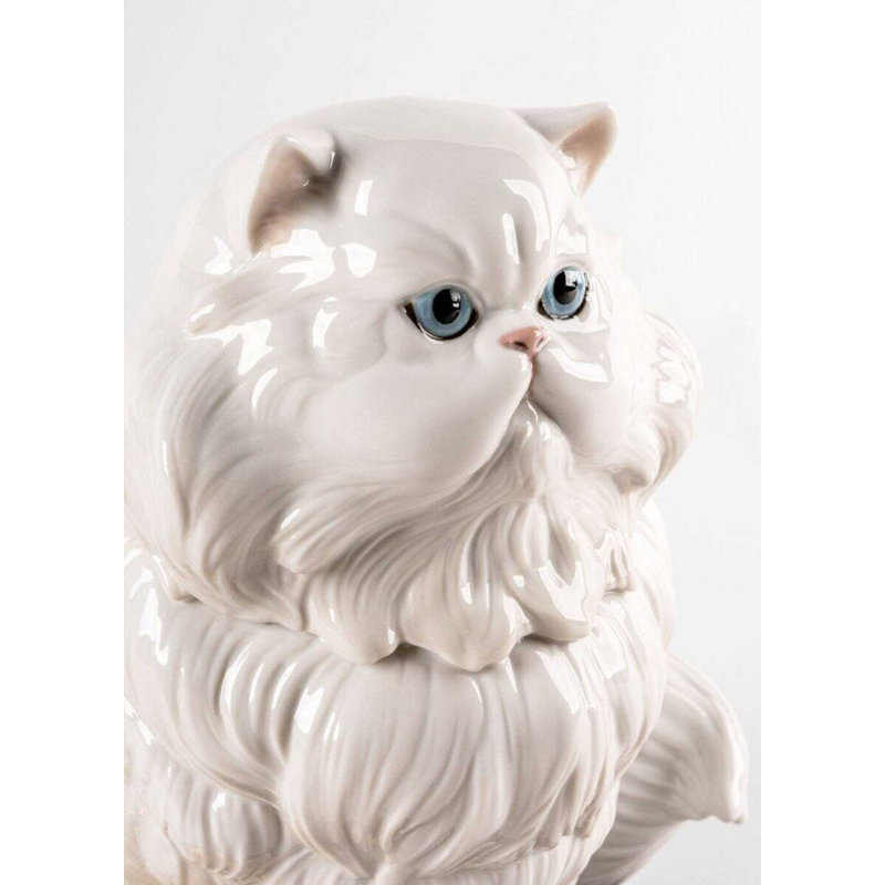 Persian Cat