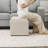Ciocia Upholstered Ottoman-205340017