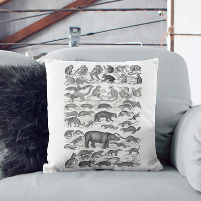 Square Cushion