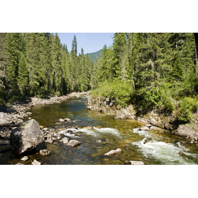 Moose Creek by Thundor