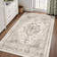 Oriental Area Rug-553023917-799655225