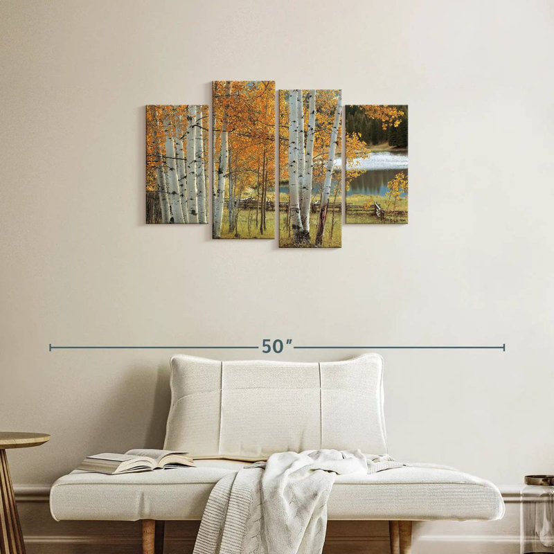 Alvord Birch Beauty, H 22 po x l 36 po