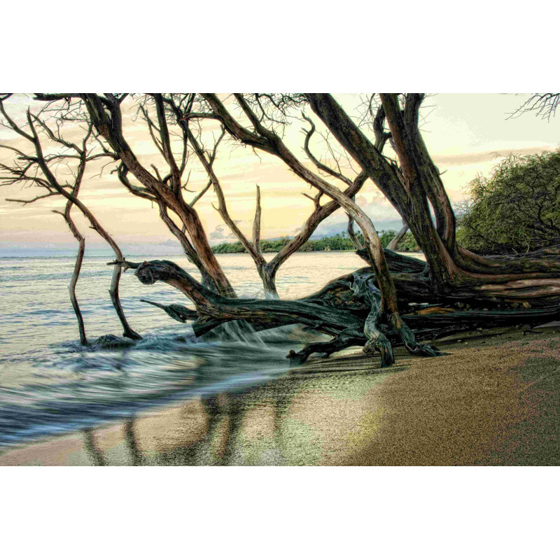 Reaching For The Sea I, H 32 po x l 48 po