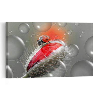 Ladybug Poppy Delicate Vibrant Ladybug Poppy Flower Nature Wall Art Print by Thierry Dufour - Print