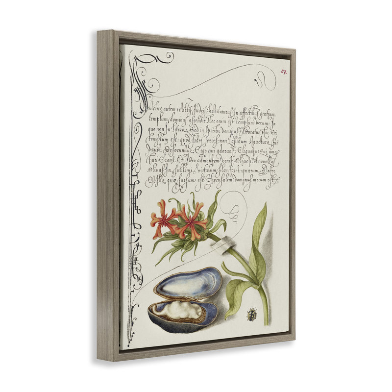 «Oyster & Plant Study», art mural encadré par Melissa Wang, Cadre flottant orme Montalcino, H 31 po x l 25 po