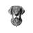 Labrador by Bioworkz - Wrapped Canvas Gallery-Wrapped Canvas Giclée-68498025