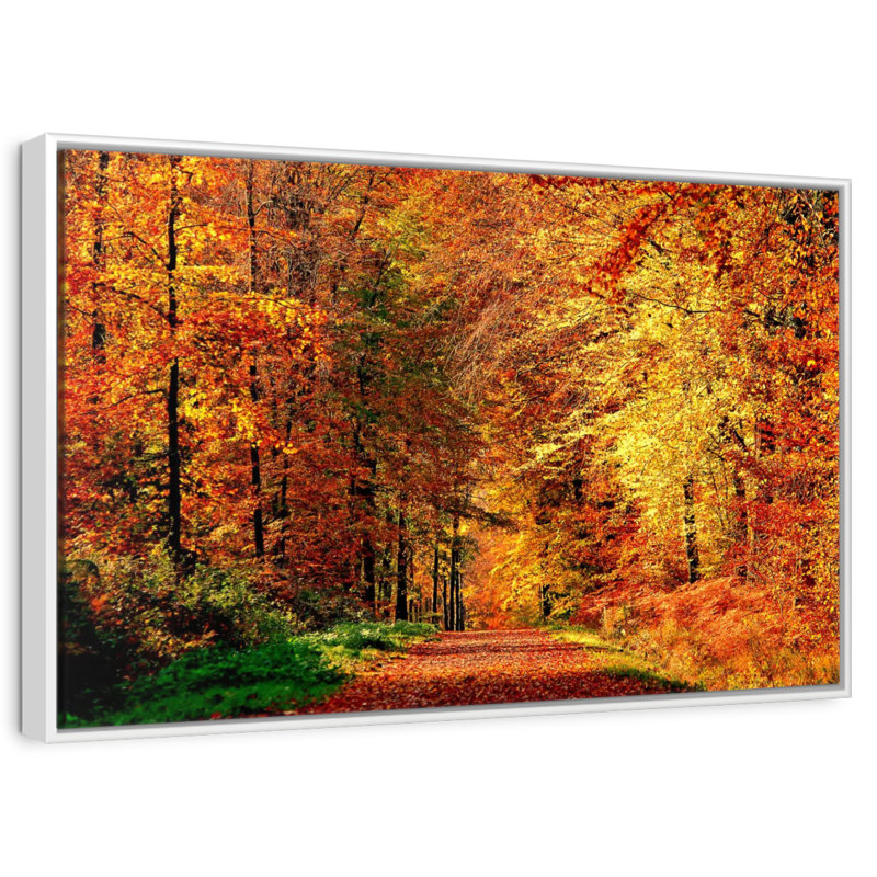 Chemin vers la forêt d'automne, Cadre flottant blanc, 13 po x 9 po