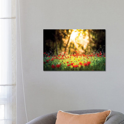 Tulips Field in a Sunlight 1 Piece Wrapped Canvas Wall Art