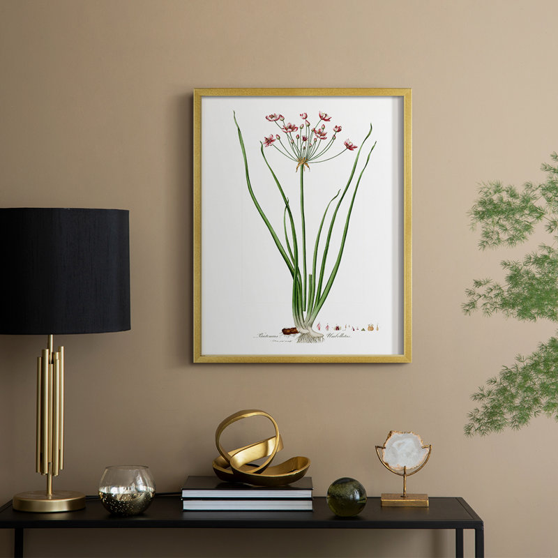 Rose Botanical II, reproduction encadrée - bois massif, H 11 po x l 9 po, Doré