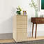 Armoire de rangement à 5 tiroirs Riesner-819850040