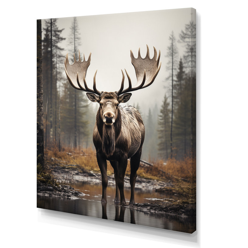 «Aydrianna Brown Moose», impression monochrome sur toile, H 32 po x l 24 po x P 1 po, Toile tendue