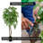 Handmade Artificial Wisteria Tree with Real Wood-2002430830