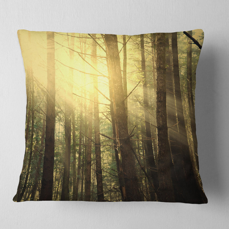 Coussin Schafer, 16 po x 16 po, Coussin décoratif