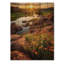 Braasch, Oklahoma, montagnes du Wichita, coucher de soleil sur bois-1599834749