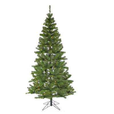 Lighted Sierra Christmas Tree