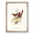 Oak Framed selected