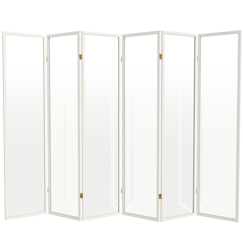 Cloison en plastique transparent Alayzhia, 6, Blanc, 6 pi