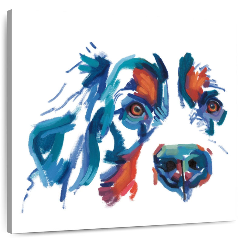 Crowle Cocker Spaniel - couleurs