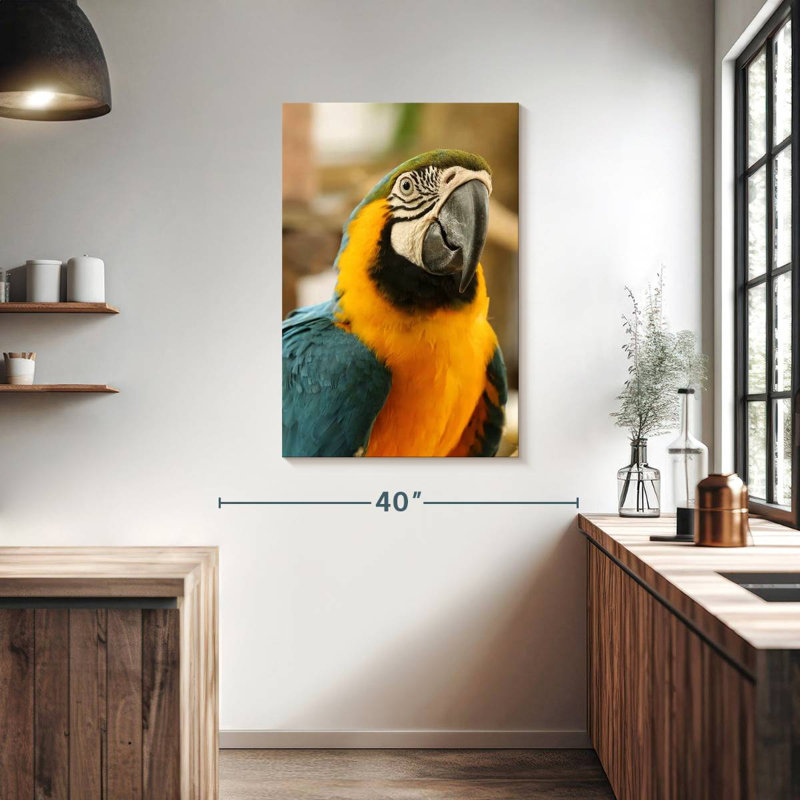 Brampt Exotic Macaw, 39" H x 26" W