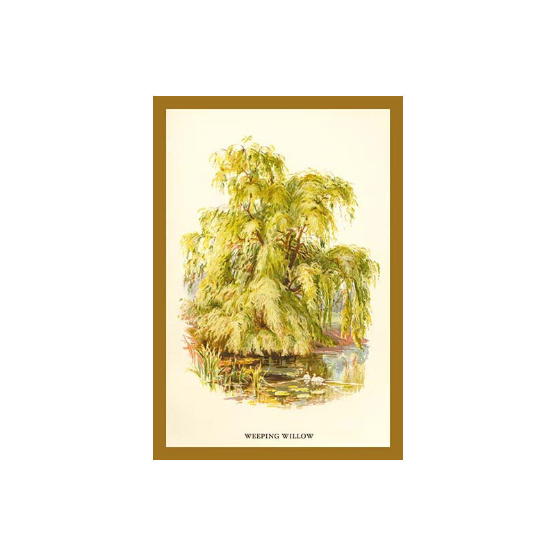 « the weeping willow » par w.h.j. boot art