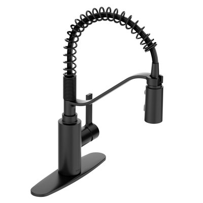 Genta LX Pulldown Pre-Rinse Spring Kitchen Faucet with Power Boost