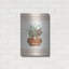 «Southwest Terracotta Succulents II» par Cindy Jacobs-489646266