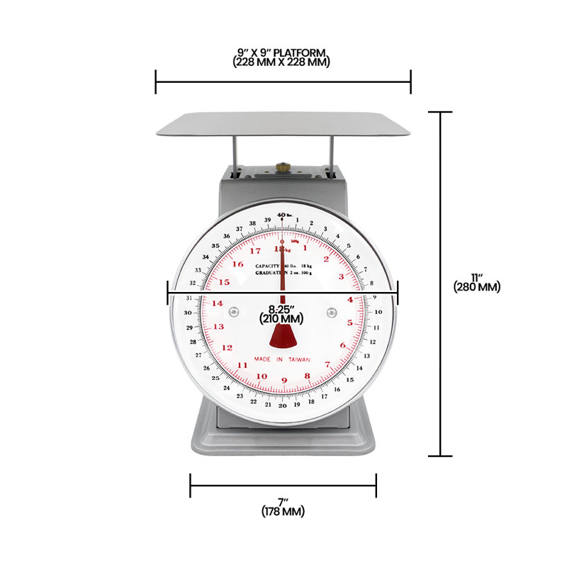 Zenport Gray Food Scale