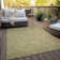 Chamaya Southwestern Indoor / Outdoor Rug